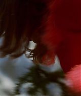 2002-BigFatLiar-666.jpg